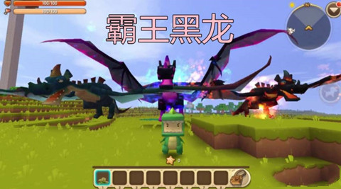 迷你世界如何驯服黑龙-迷你世界驯服黑龙的方法是哪些