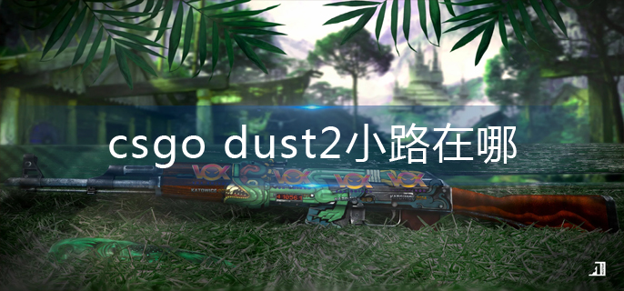 csgo手游_dust2小路位置在哪-csgo手游_dust2小路位置分布图介绍