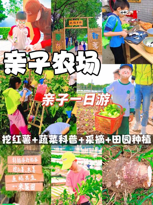 尖山农场生态旅游攻略:亲子采摘与自然教育体验全解析 尖山农场生态旅游攻略:亲子采摘与自然教育体验全解析