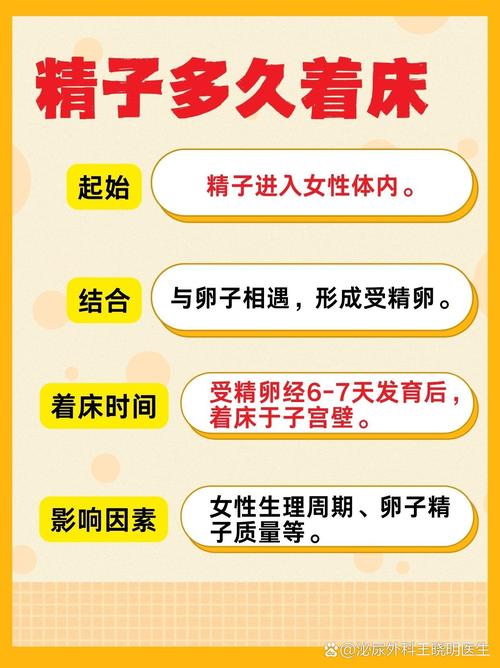 女性必看:精子质量科学解析与健康生育的3大核心知识 女性必看:精子质量科学解析与健康生育的3大核心知识