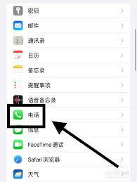 iPhone用户必看！2025年最新虚拟来电拦截技巧与黑名单设置全攻略