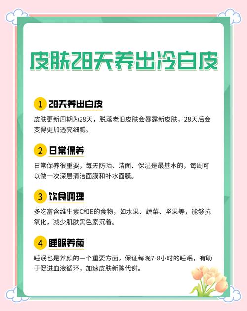 倾城心妍护肤秘籍:28天肌肤修复方案与天然成分深度解析 倾城心妍护肤秘籍:28天肌肤修复方案与天然成分深度解析