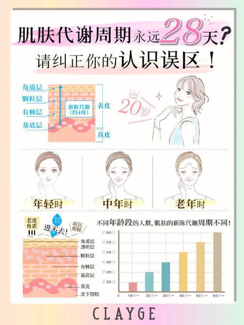 倾城心妍护肤秘籍:28天肌肤修复方案与天然成分深度解析 倾城心妍护肤秘籍:28天肌肤修复方案与天然成分深度解析