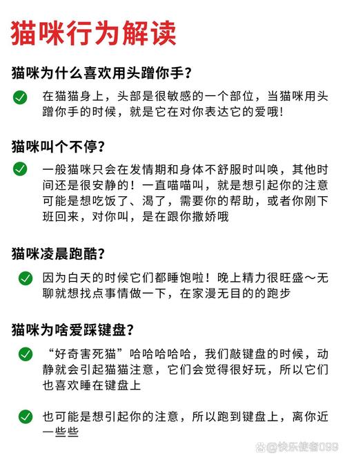 宝贝喜欢它这样对你吗?解读宠物行为背后的情感密码与科学互动指南 宝贝喜欢它这样对你吗?解读宠物行为背后的情感密码与科学互动指南