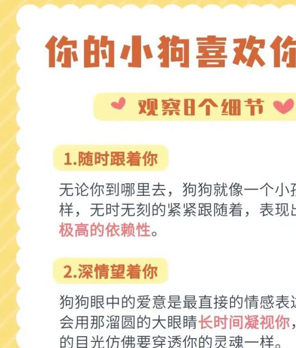 宝贝喜欢它这样对你吗?解读宠物行为背后的情感密码与科学互动指南 宝贝喜欢它这样对你吗?解读宠物行为背后的情感密码与科学互动指南