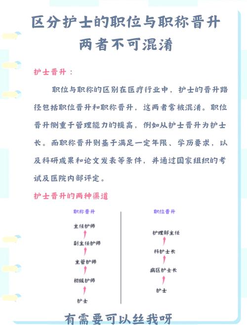 女护士与税务局干部职业对比:工作压力、薪资待遇与发展前景深度解析 女护士与税务局干部职业对比:工作压力、薪资待遇与发展前景深度解析