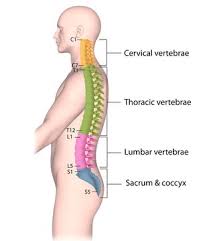 SPINE星际探险全攻略：生存技巧与星球资源高效利用指南