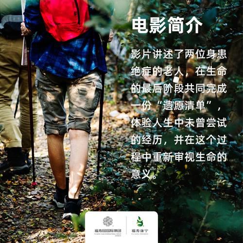 2017光棍电影必看片单:20部治愈系佳作推荐,单身观影指南全解析 2017光棍电影必看片单:20部治愈系佳作推荐,单身观影指南全解析