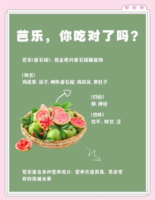 石榴芒果榴莲芭乐向日葵丝瓜的营养功效与种植技巧全解析:家庭园艺必读指南 石榴芒果榴莲芭乐向日葵丝瓜的营养功效与种植技巧全解析:家庭园艺必读指南