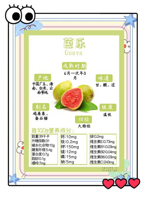 石榴芒果榴莲芭乐向日葵丝瓜的营养功效与种植技巧全解析:家庭园艺必读指南 石榴芒果榴莲芭乐向日葵丝瓜的营养功效与种植技巧全解析:家庭园艺必读指南