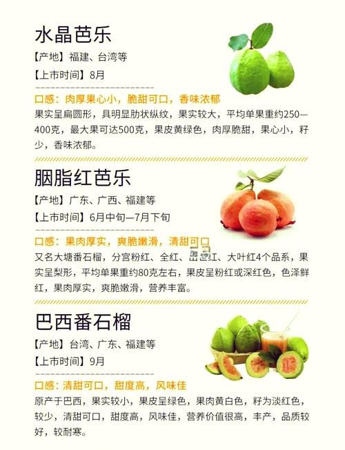 石榴芒果榴莲芭乐向日葵丝瓜的营养功效与种植技巧全解析:家庭园艺必读指南 石榴芒果榴莲芭乐向日葵丝瓜的营养功效与种植技巧全解析:家庭园艺必读指南