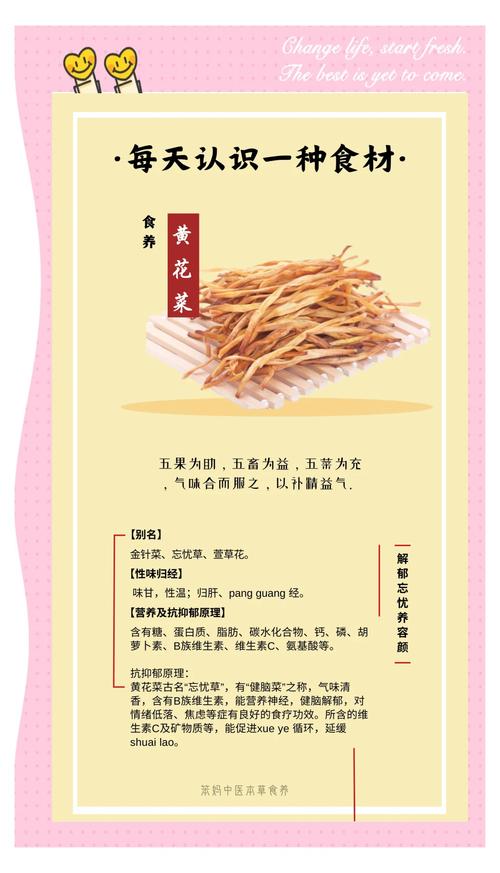 忘忧草功效与作用全解析:www视频教你食用方法与种植技巧 忘忧草功效与作用全解析:www视频教你食用方法与种植技巧
