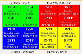 MBTI性格测试官方入口指南：专业解析四大权威参与渠道与实用技巧