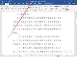 Word文档高效纠错技巧大全：从拼写检查到自定义词典的深度应用指南