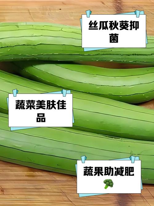 草莓樱桃丝瓜绿巨人秋葵种植技术大全:新手必看的家庭栽培指南视频 草莓樱桃丝瓜绿巨人秋葵种植技术大全:新手必看的家庭栽培指南视频