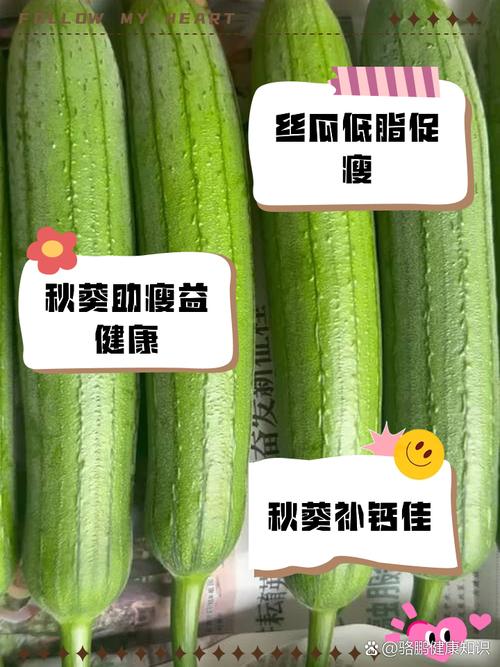 草莓樱桃丝瓜绿巨人秋葵种植技术大全:新手必看的家庭栽培指南视频 草莓樱桃丝瓜绿巨人秋葵种植技术大全:新手必看的家庭栽培指南视频