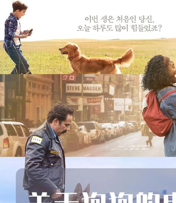 4k4k大狗狗电影网:高清影视资源免费观看与热门推荐指南 4k4k大狗狗电影网:高清影视资源免费观看与热门推荐指南