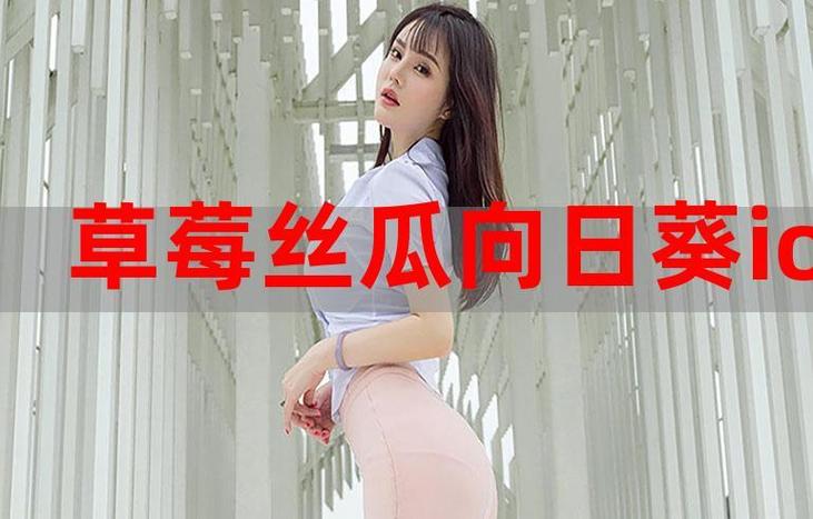 榴莲视频、向日葵视频、幸福宝哪个更好用?深度解析三大平台内容特色与用户体验 榴莲视频、向日葵视频、幸福宝哪个更好用?深度解析三大平台内容特色与用户体验