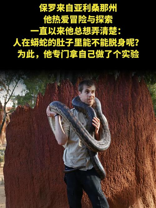 吃人蛇真实事件解密:罕见蛇类攻击案例与科学防护指南 吃人蛇真实事件解密:罕见蛇类攻击案例与科学防护指南