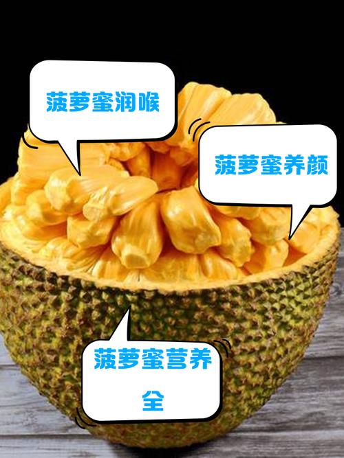 菠萝蜜视频APP功能解析:用户为何爱用这款视频工具?深度测评揭秘 菠萝蜜视频APP功能解析:用户为何爱用这款视频工具?深度测评揭秘