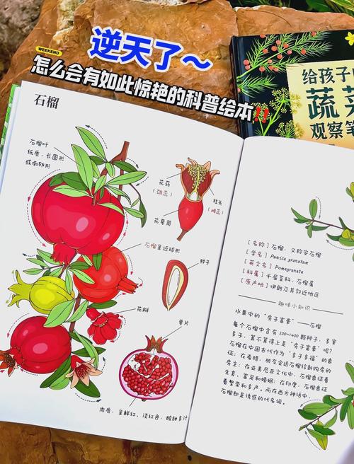 草莓樱桃丝瓜绿巨人秋葵番茄种植导航:家庭菜园高产技巧与新手避坑指南 草莓樱桃丝瓜绿巨人秋葵番茄种植导航:家庭菜园高产技巧与新手避坑指南