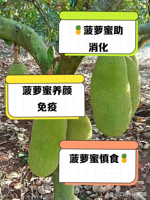 菠萝蜜无限制视频完整教程:资源获取与安全观看指南 菠萝蜜无限制视频完整教程:资源获取与安全观看指南