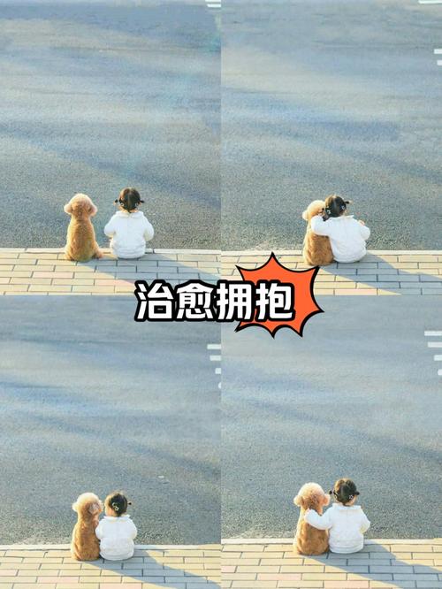 暖暖视频日本免费观看推荐:精选治愈系影视资源与追剧指南 暖暖视频日本免费观看推荐:精选治愈系影视资源与追剧指南