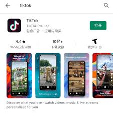 TikTok国内可用版本深度解析：三大主流客户端特色对比与使用指南