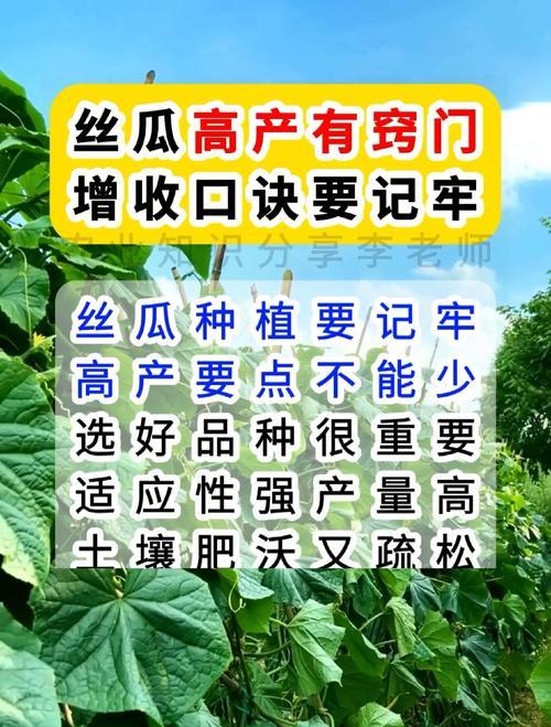 绿巨人丝瓜草莓应用宝：高效种植技巧与高产秘诀全解析