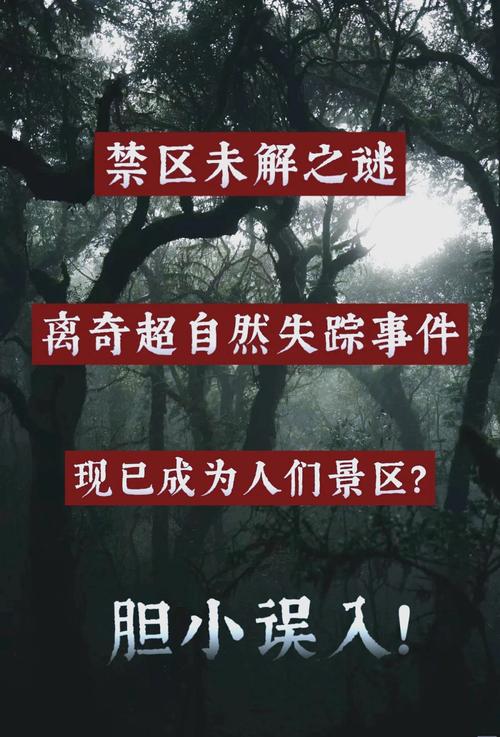 失落的禁区探险实录:揭秘北纬30°神秘事件与未解之谜 失落的禁区探险实录:揭秘北纬30°神秘事件与未解之谜