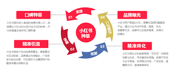 小红书明星推广号运营全攻略：从到1打造高人气账号的7大核心策略