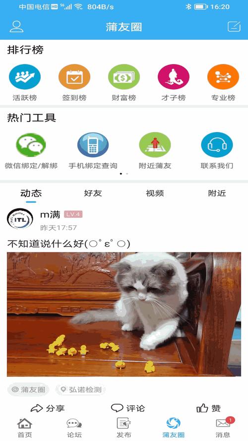 iOS视频应用对比:小蝌蚪无限看 vs 丝瓜葫芦娃,哪个更符合用户需求? iOS视频应用对比:小蝌蚪无限看 vs 丝瓜葫芦娃,哪个更符合用户需求?
