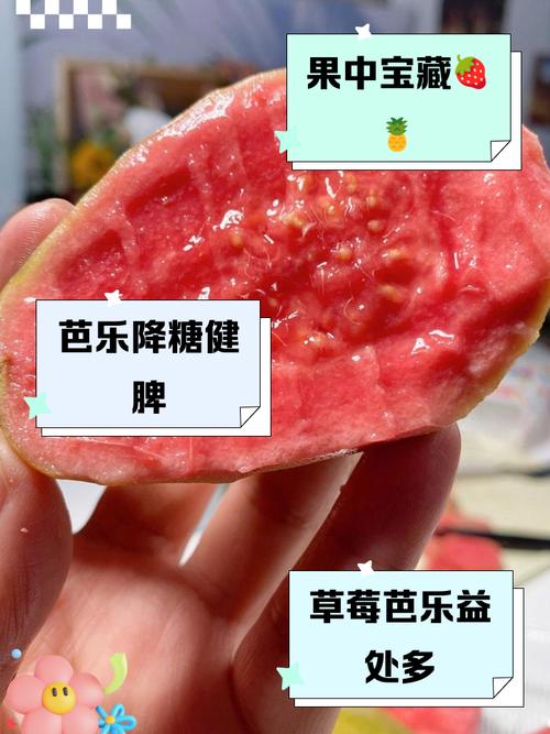 草莓芭乐绿巨人的高效种植技巧与健康食谱分享 草莓芭乐绿巨人的高效种植技巧与健康食谱分享