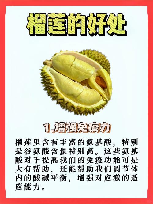 草莓无限看榴莲免费版为何受追捧?深度解析其核心功能与高效使用技巧 草莓无限看榴莲免费版为何受追捧?深度解析其核心功能与高效使用技巧