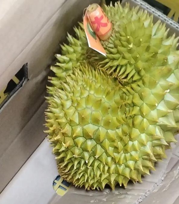 草莓无限看榴莲免费版为何受追捧?深度解析其核心功能与高效使用技巧 草莓无限看榴莲免费版为何受追捧?深度解析其核心功能与高效使用技巧