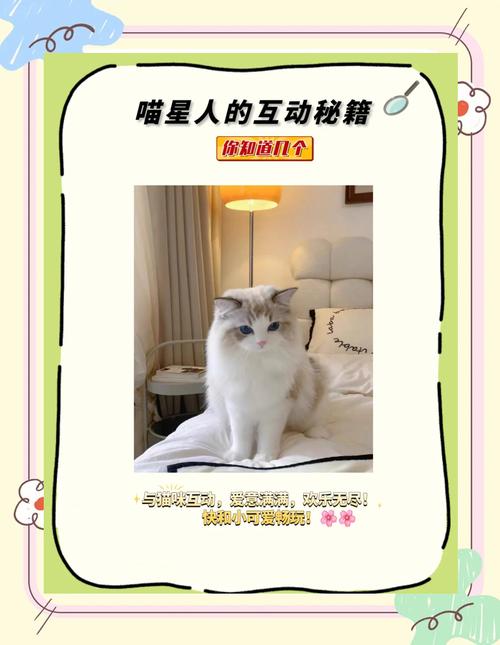 5大高清视频平台实测：猫咪社区www如何打造沉浸式萌宠互动体验？
