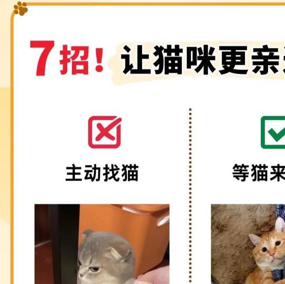 5大高清视频平台实测：猫咪社区www如何打造沉浸式萌宠互动体验？