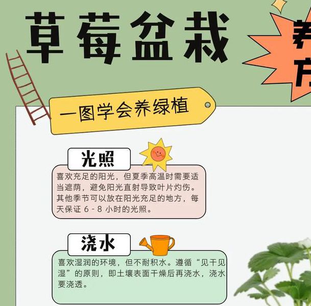 家庭种植如何解锁草莓香蕉丝瓜茄子秋葵向日葵高产秘诀?这7大关键点值得收藏! 家庭种植如何解锁草莓香蕉丝瓜茄子秋葵向日葵高产秘诀?这7大关键点值得收藏!