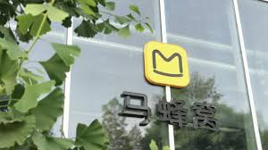马蜂窝用户必看：三步彻底清除历史浏览痕迹的高效解决方案
