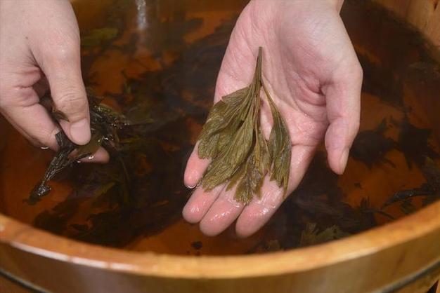 中医推荐:10个艾草养生技巧+精品免费视频合集(权威解析) 中医推荐:10个艾草养生技巧+精品免费视频合集(权威解析)