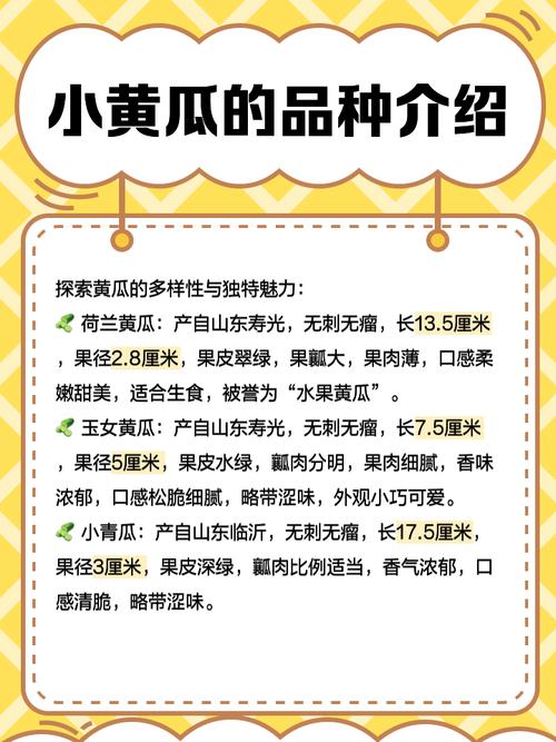 抖音爆火的樱桃丝瓜绿巨人黄瓜免费教程,三步打造家庭菜园新标杆 抖音爆火的樱桃丝瓜绿巨人黄瓜免费教程,三步打造家庭菜园新标杆