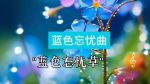 忘忧草app下载软件