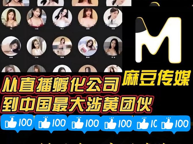 md视传媒官方网站入口进入