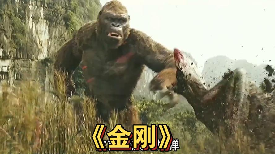 金刚影视1.0.0