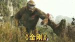 金刚影视1.0.0