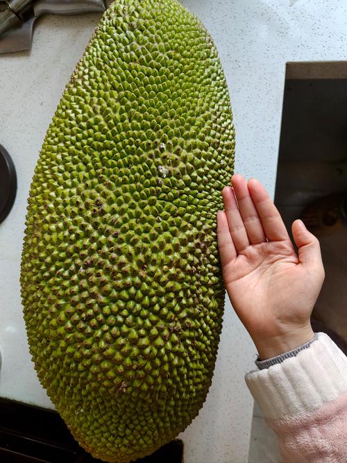菠萝菠萝蜜视频免费观看8解锁版