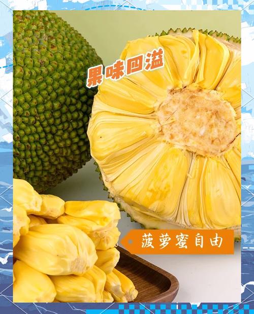 菠萝菠萝蜜视频免费观看8解锁版