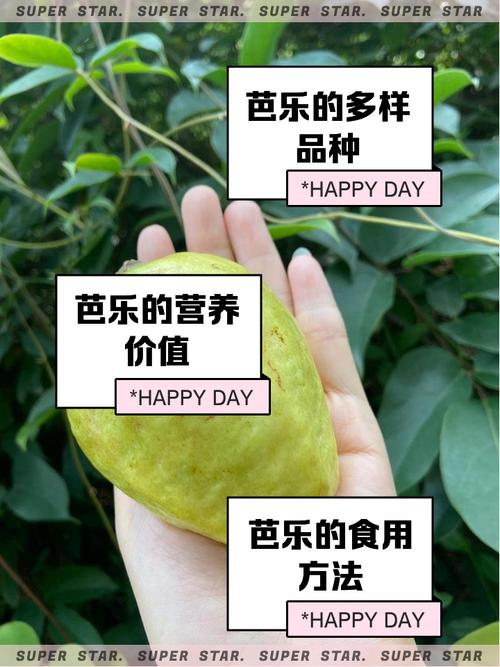 芭比乐污草莓丝瓜向日葵大全
