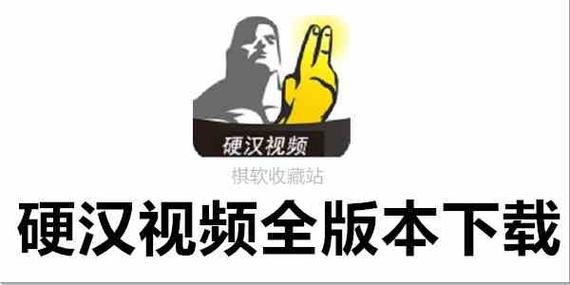 硬汉视频最新版