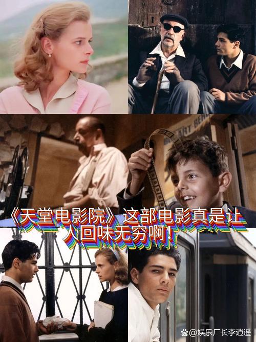 天堂bt影视